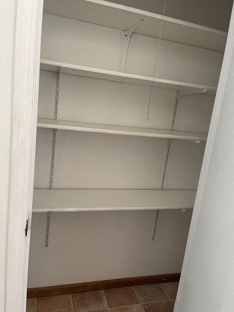the empty shelves in the closet are empty