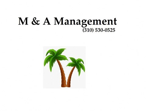 Two palm trees are shown in the image.