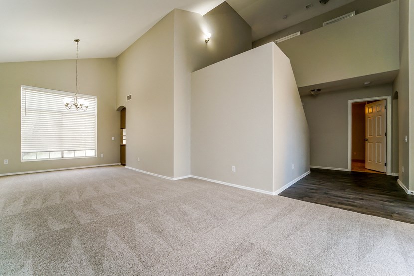 the spacious living room with a large window and carpet flooring
