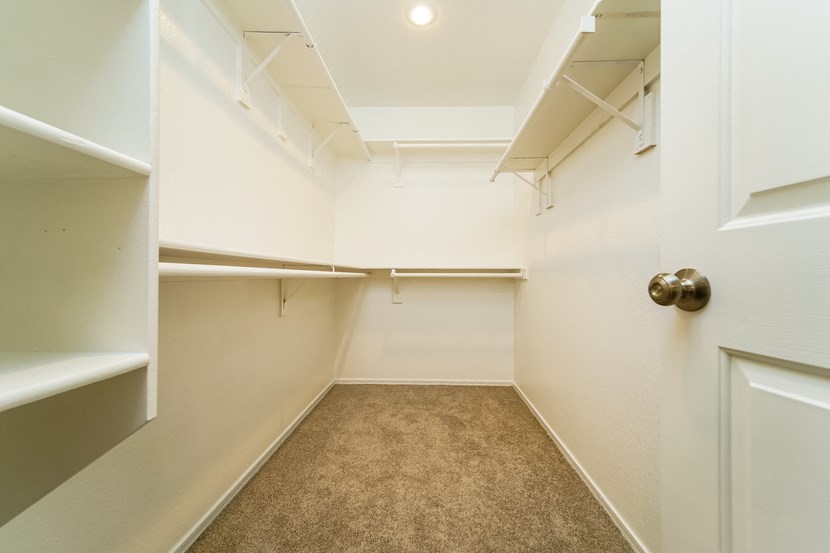 a walk in closet with white walls and a carpeted floor