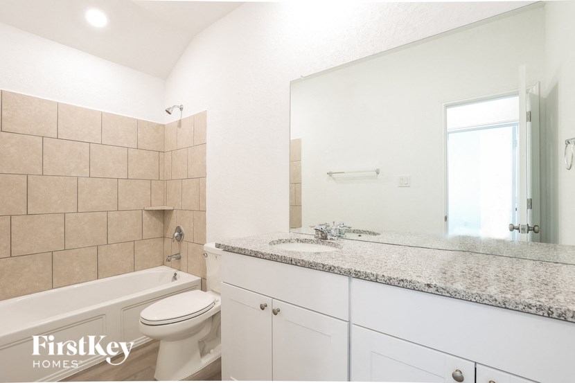 a bathroom with a sink and a toilet and a mirror