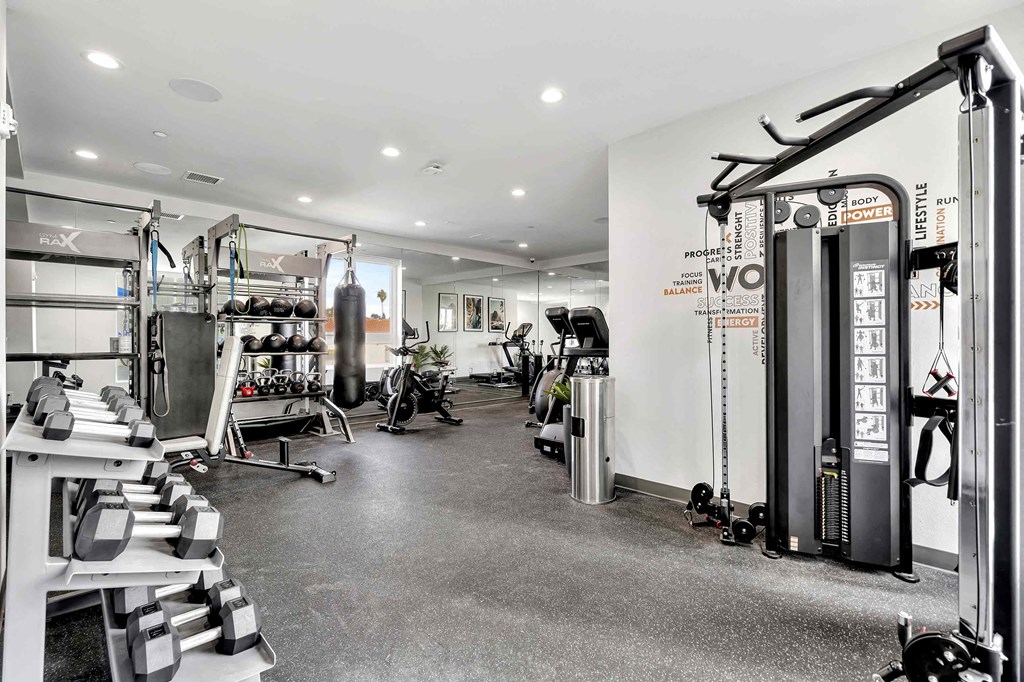 a home gym with weights and cardio equipment on the floor