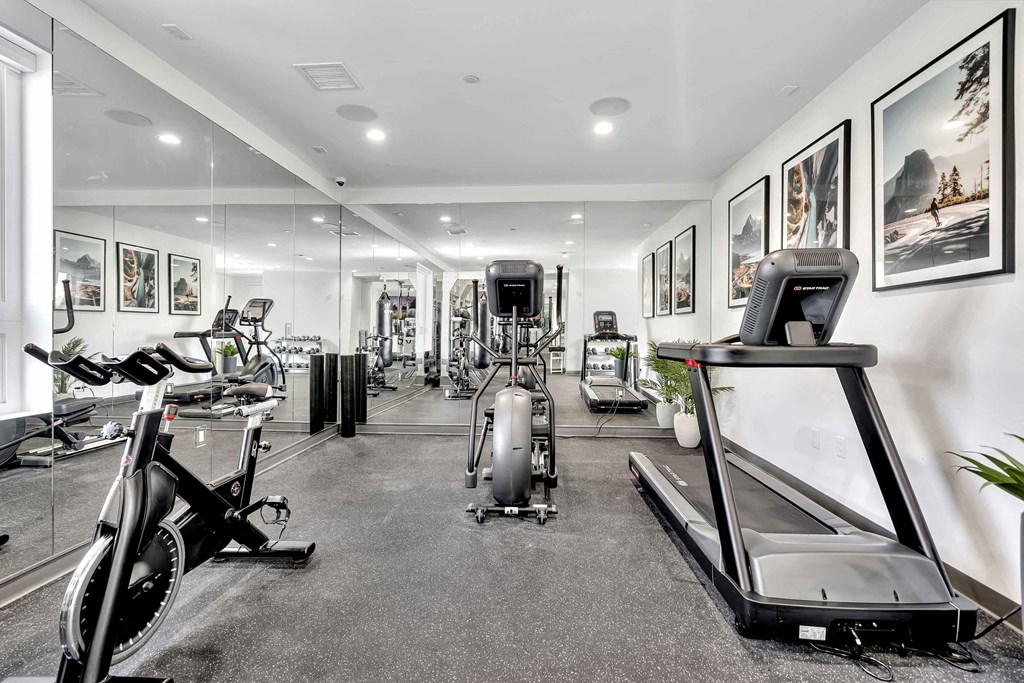 the gym has a treadmill and exercise equipment and paintings on the wall