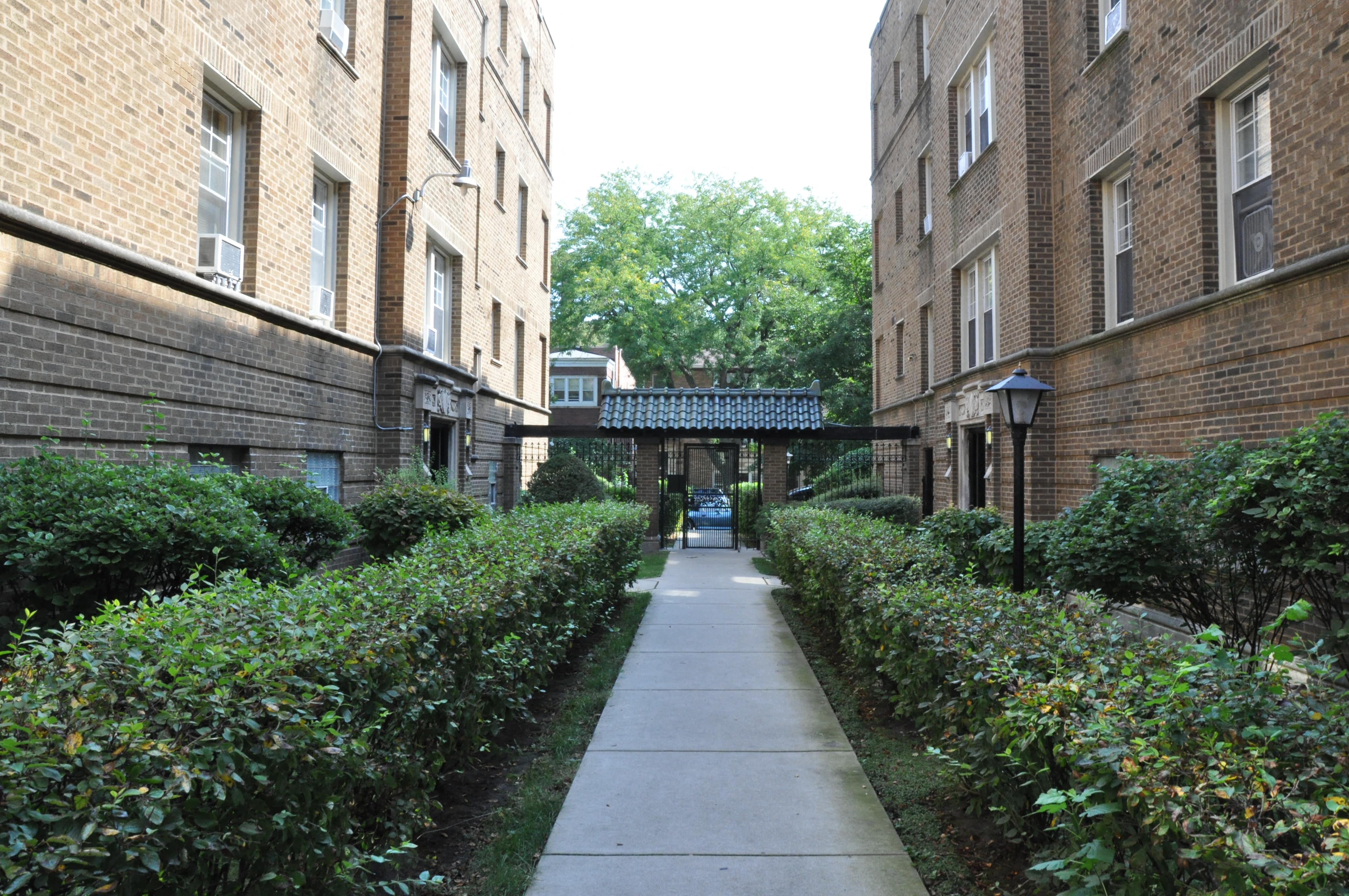 A pathway between two buildings with bushes on the sides.