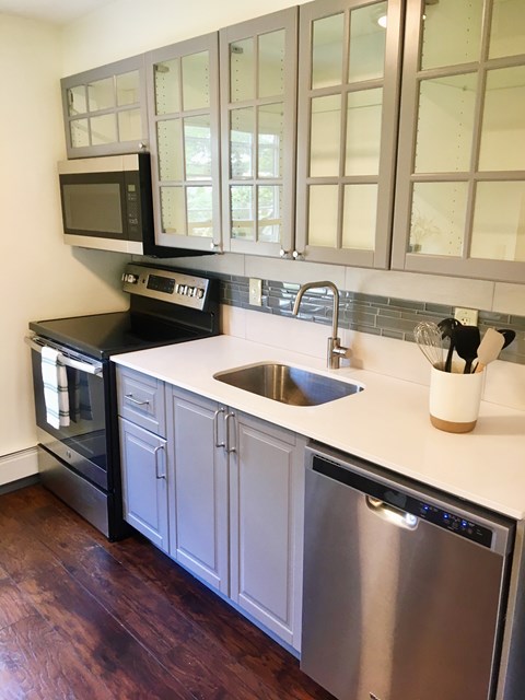 A kitchen with a stainless steel dishwasher and microwave above the sink.