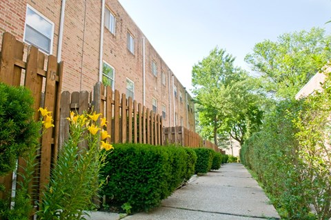 A long pathway with a wooden fence on the left and a green hedge on the right.