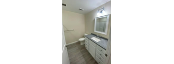 a bathroom with a sink and a toilet and a mirror