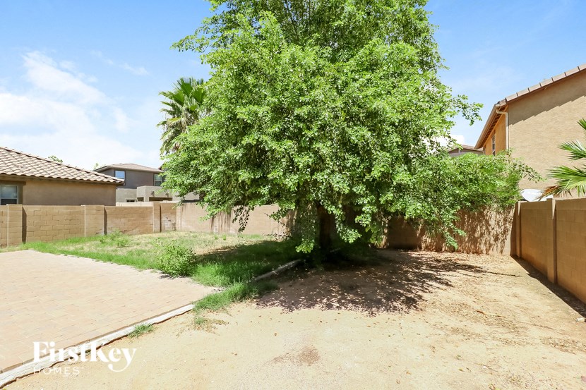 a large tree in the yard of a house