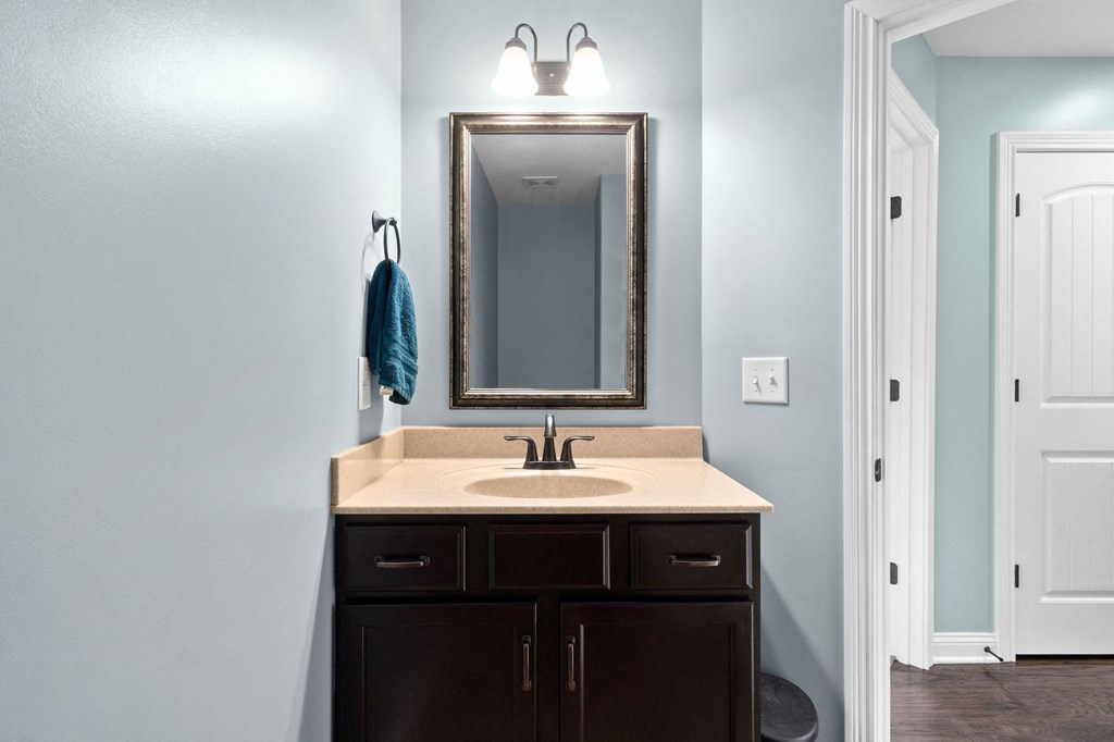 a bathroom with a sink and a mirror