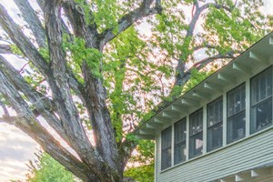 2500 Kavanaugh 1-3 Beds Apartment, Home for Rent - Photo Gallery 3