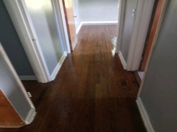 843 Delehanty Court 1-2 Beds Apartment for Rent - Photo Gallery 3