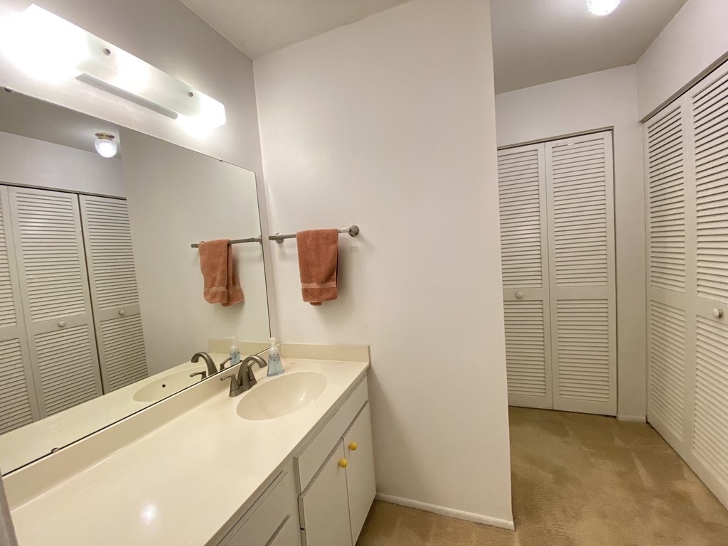 a bathroom with a sink and a mirror and a closet