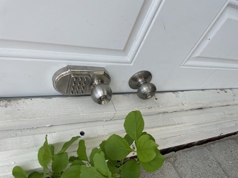 a door handle with a plant in front of it