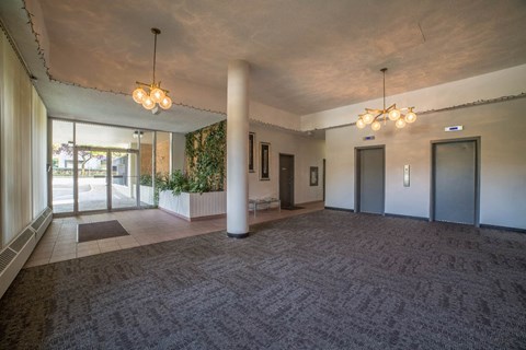 a large room with a carpeted floor and a lobby with doors
