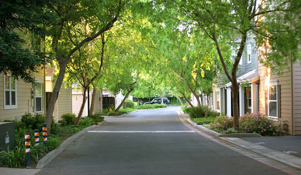 Driveway through buildings