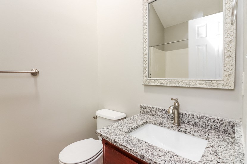 a bathroom with a sink and a mirror and a toilet