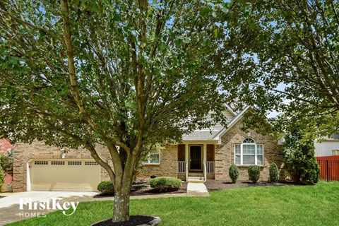 A tree in front of a house with a garage door.