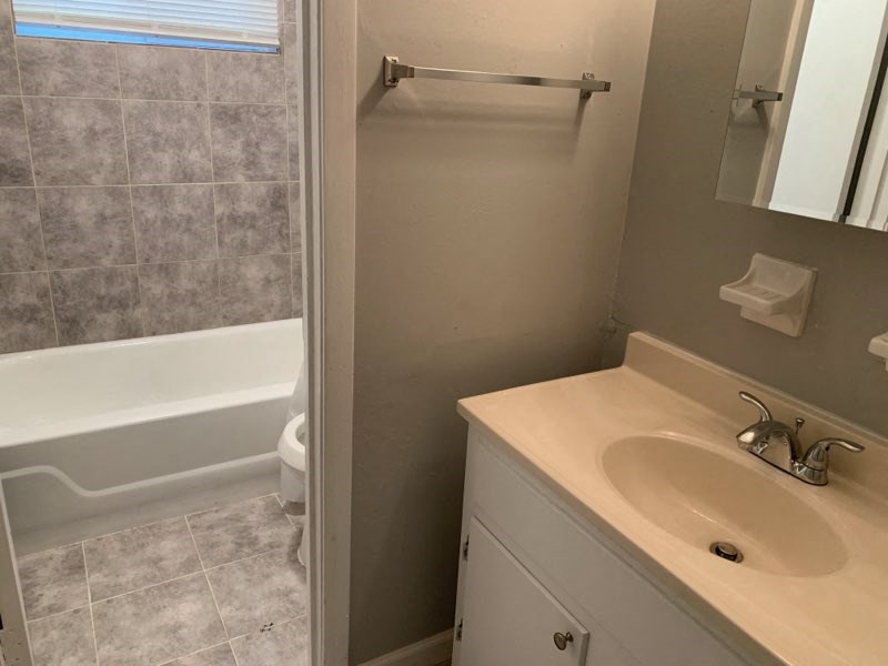 a bathroom with a sink and a toilet and a bath tub