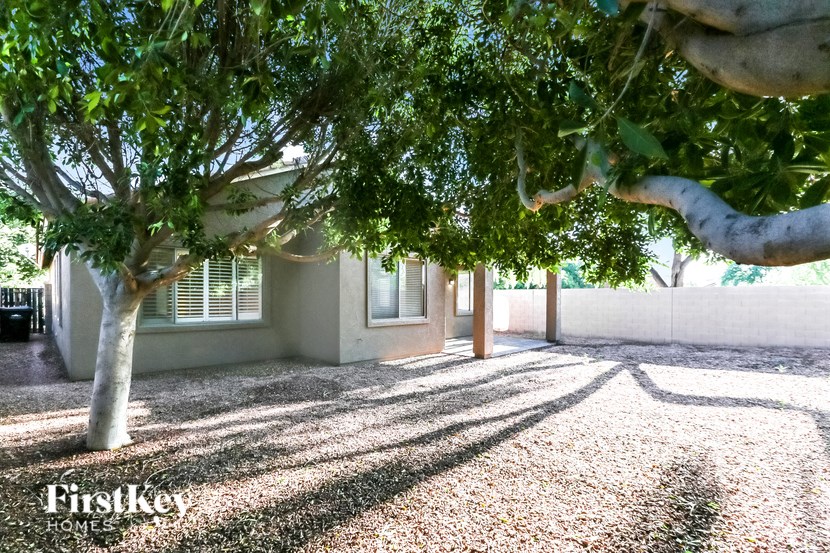A tree with green leaves is in front of a house.