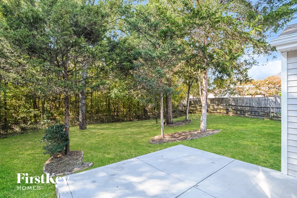 a backyard with trees and a yard with a concrete driveway