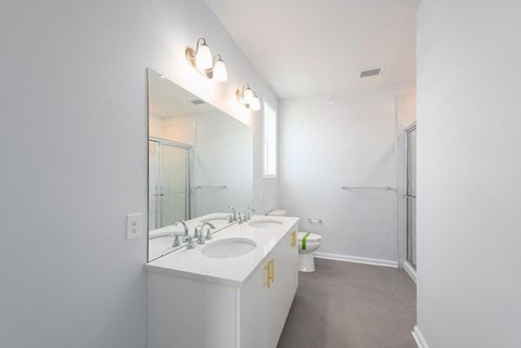 a bathroom with a sink and a shower and a mirror