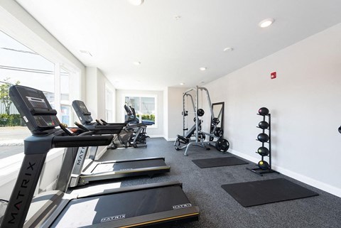 the gym is equipped with treadmills and other fitness equipment