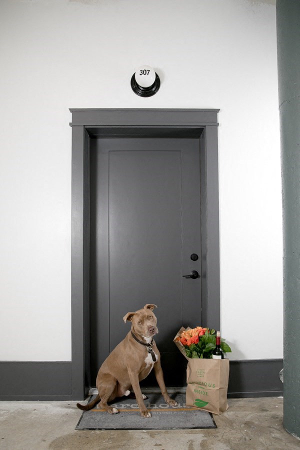 A dog sitting in front of a door with a number 307 on the wall above it.