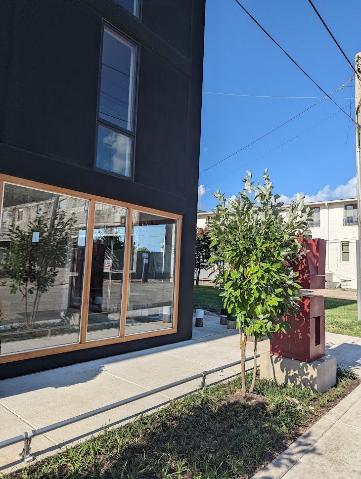 A tree is planted in a planter next to a building.