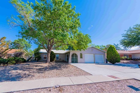 a house with a driveway and a tree in front of it