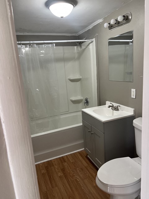 3805 Miriam Dr Studio-2 Beds Apartment for Rent - Photo Gallery 2