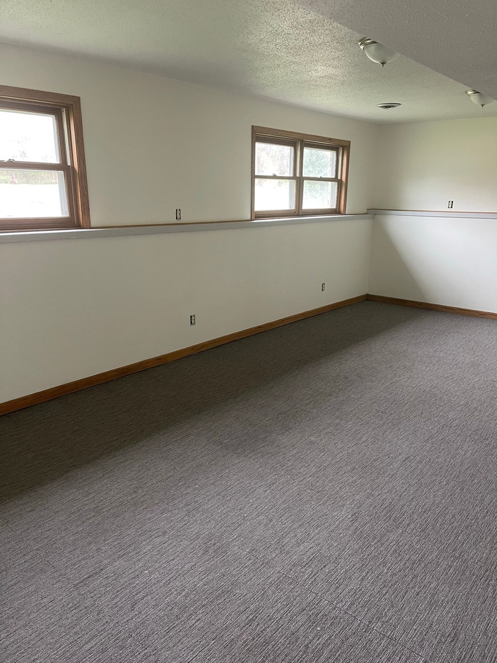 an empty room with a carpeted floor and two windows