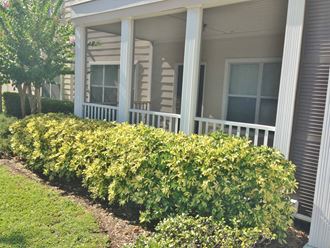 a row of bushes in front of a house