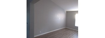 Junior Executive- #202