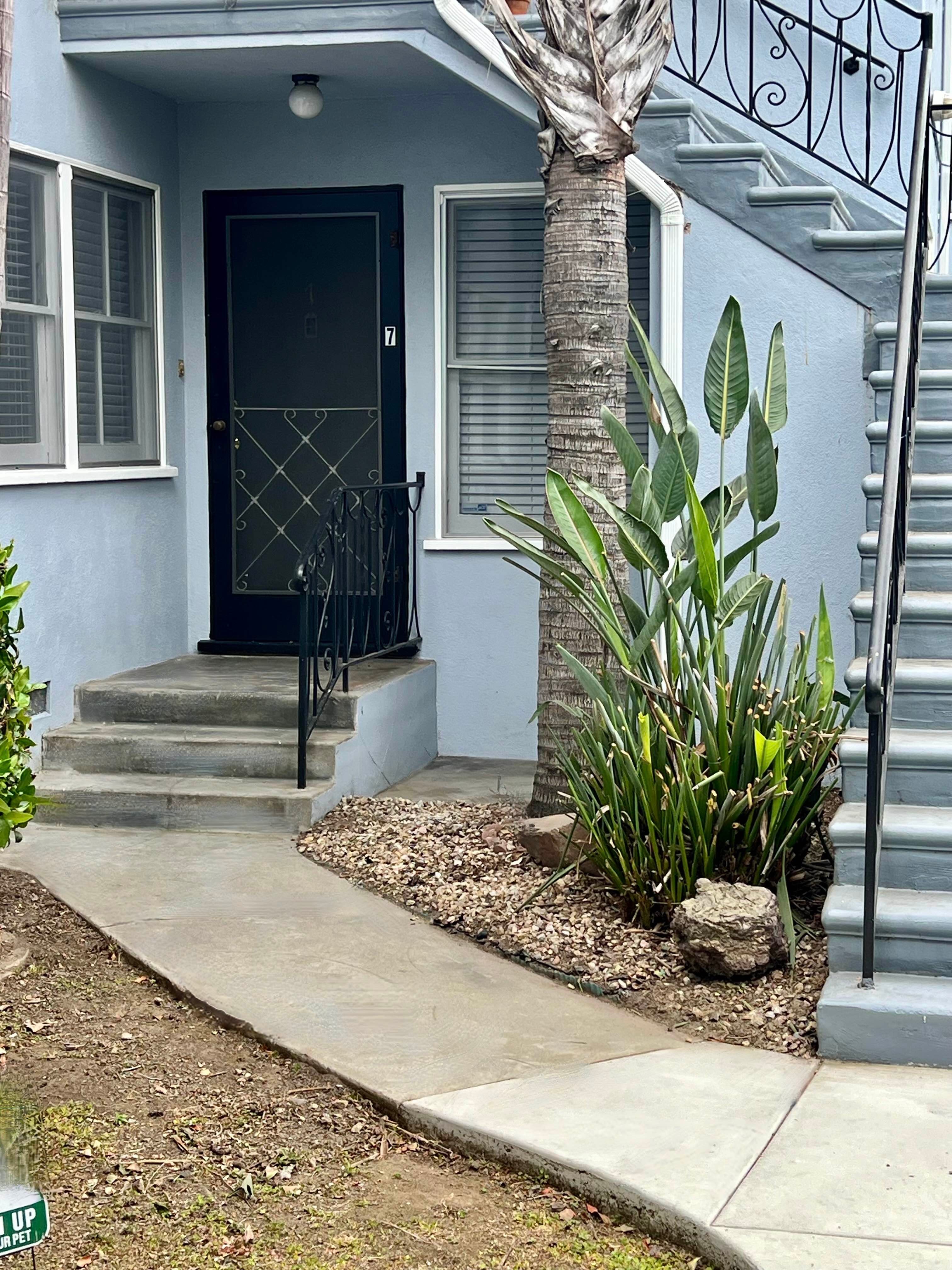 A house with a black door and a palm tree in front.