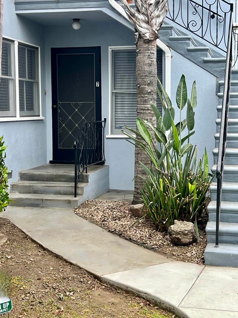 A house with a black door and a palm tree in front.