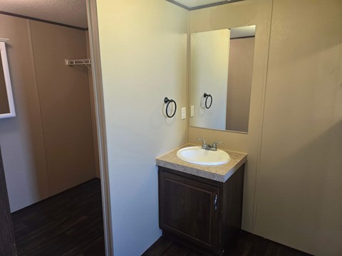 A bathroom with a sink and a mirror.