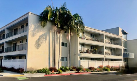 A building with a palm tree in front of it.