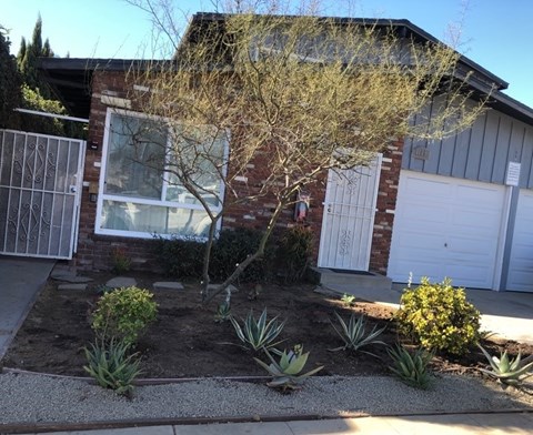 A house with a white garage door and a tree in front.
