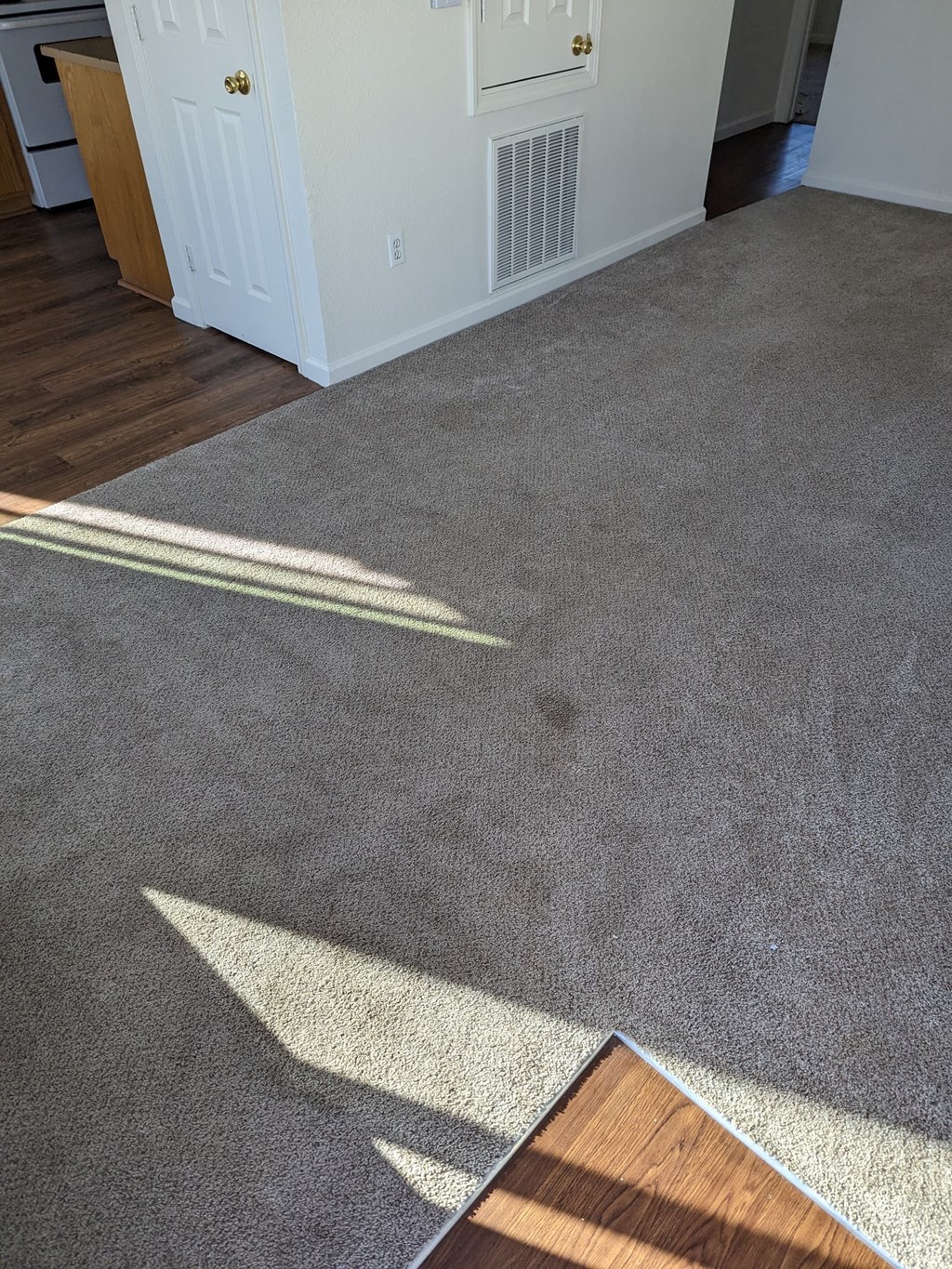 a carpeted living room with sunlight coming in through a door