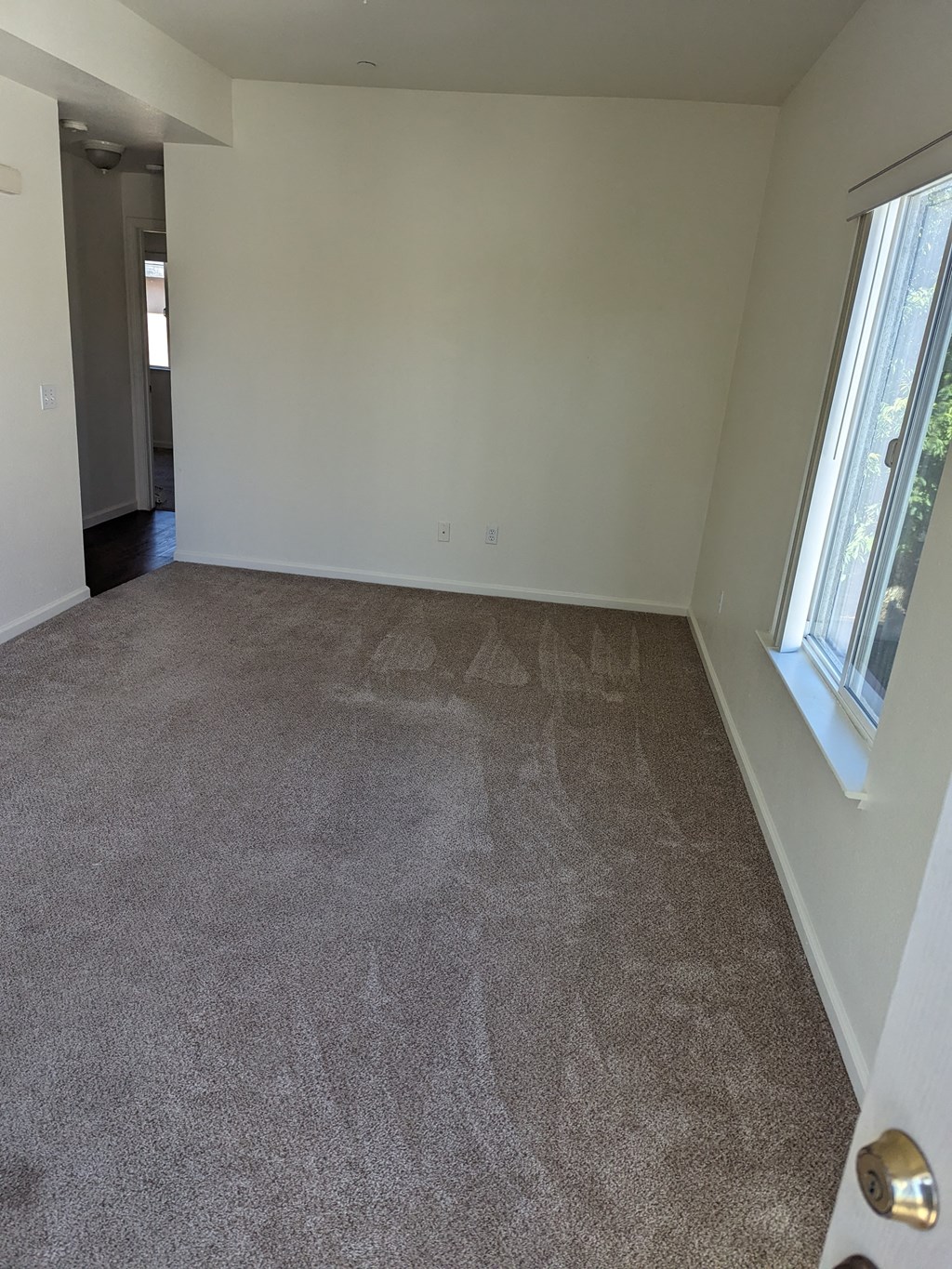 an empty living room with carpet and two windows
