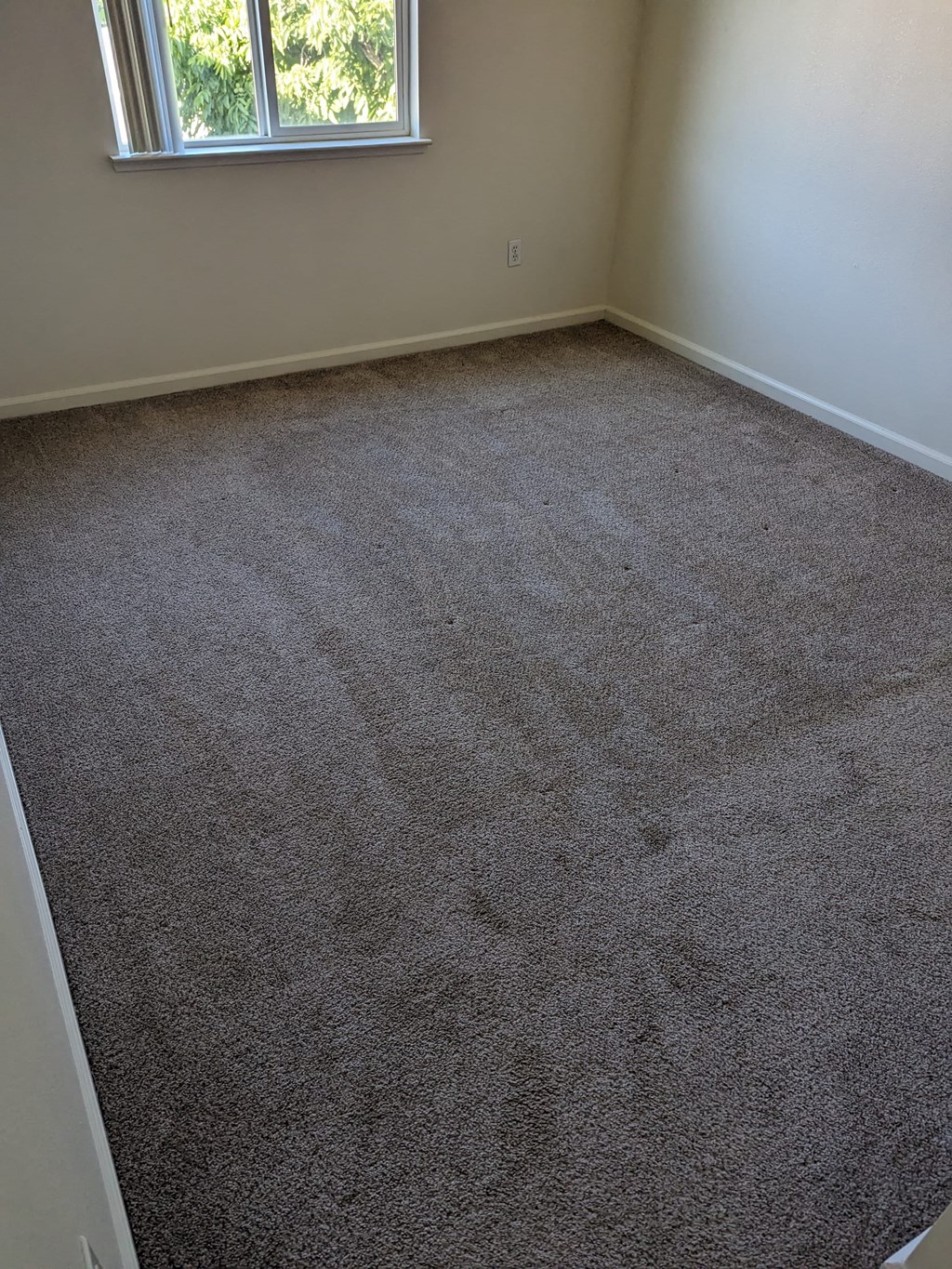 a carpeted room with a window in it