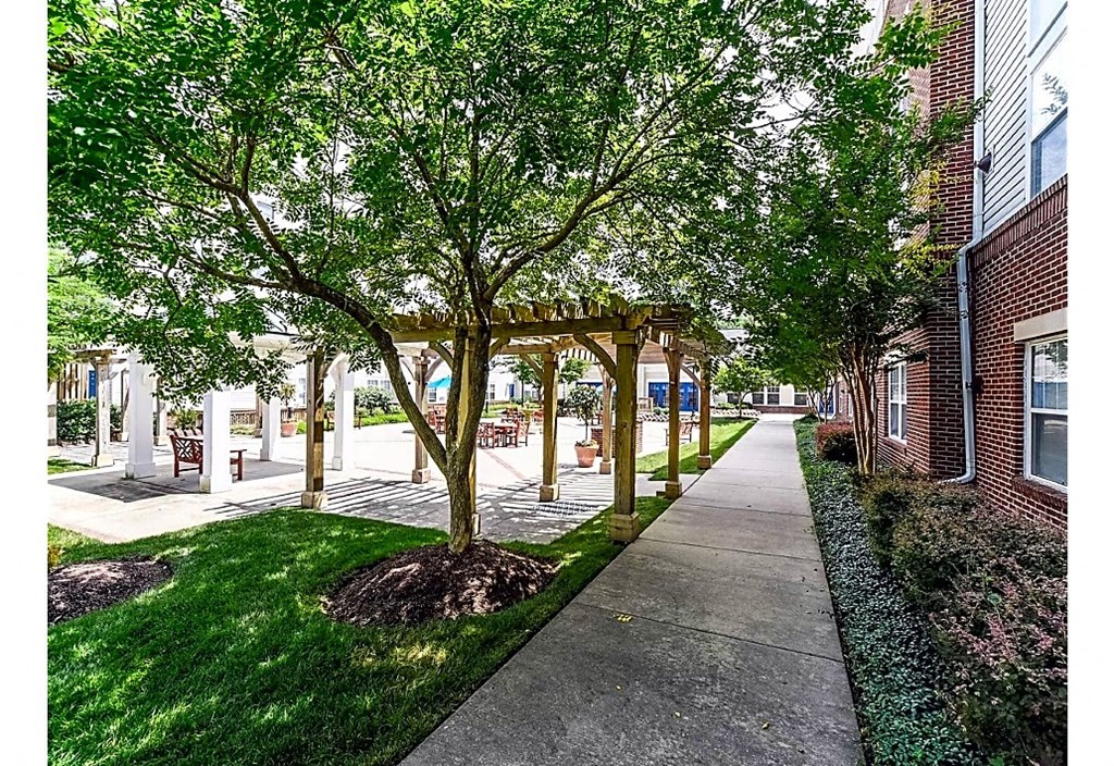 a tree lined sidewalk next to a brick building