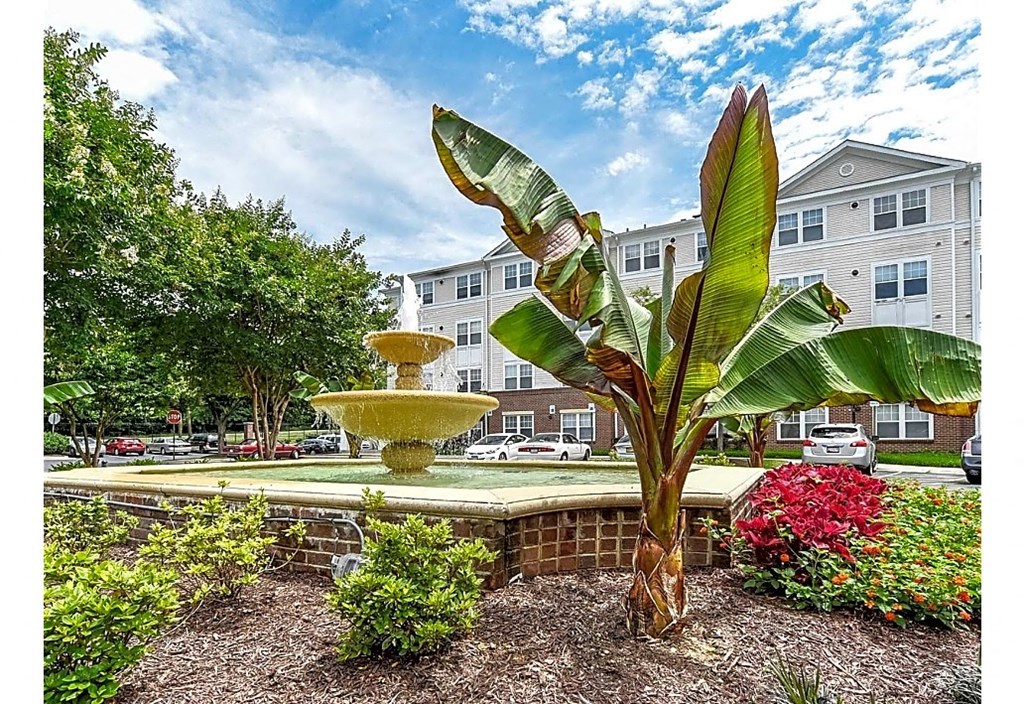 a large banana tree next to a fountain in a garden