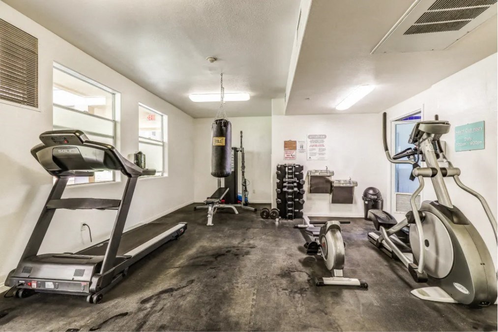 the gym is equipped with cardio equipment and weights