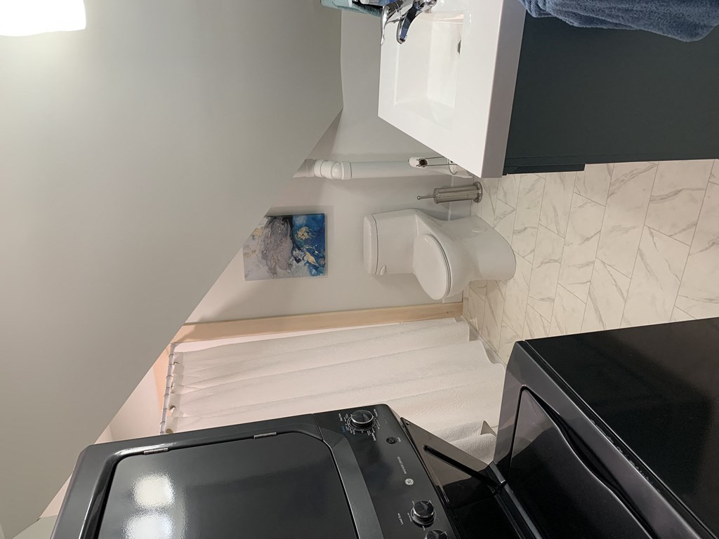 a bathroom with a toilet and a sink and a washing machine