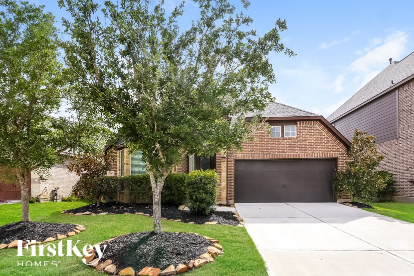 a tree in a yard in front of a house