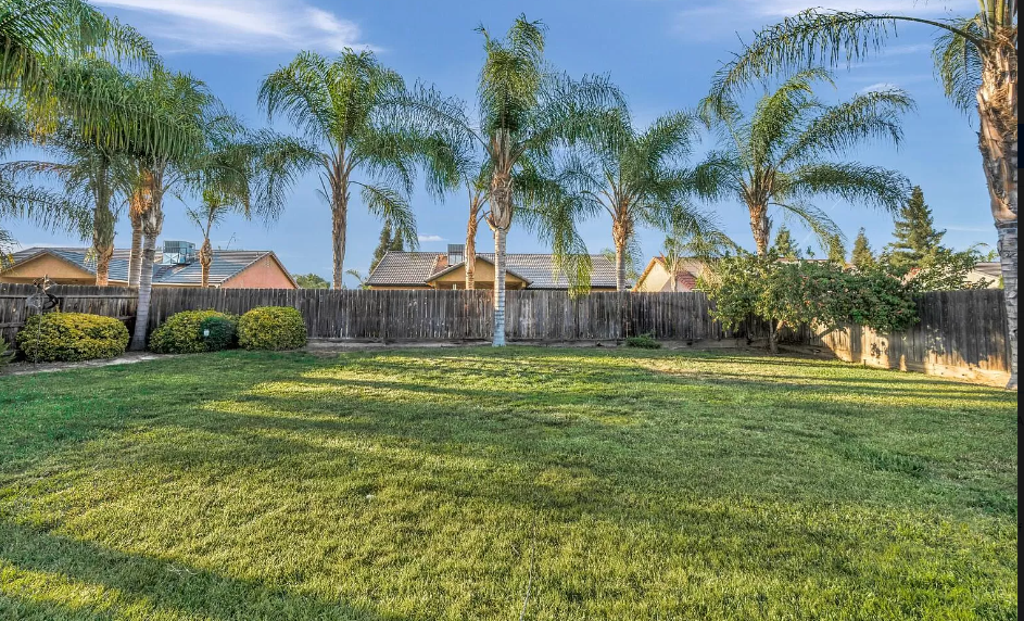 a backyard with a wooden fence and palm trees