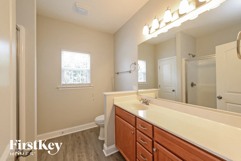 a bathroom with a sink and a mirror and a toilet