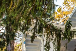 Downtown Asheville Apartments For Rent Nc Rentcafé Apartment