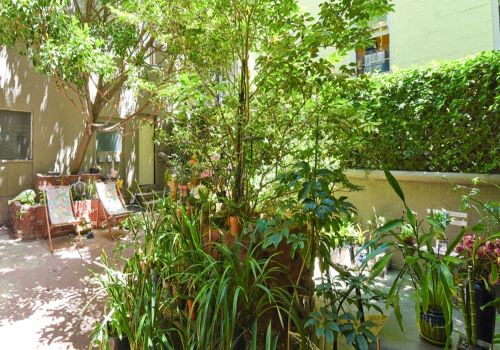 a patio with many potted plants and a tree